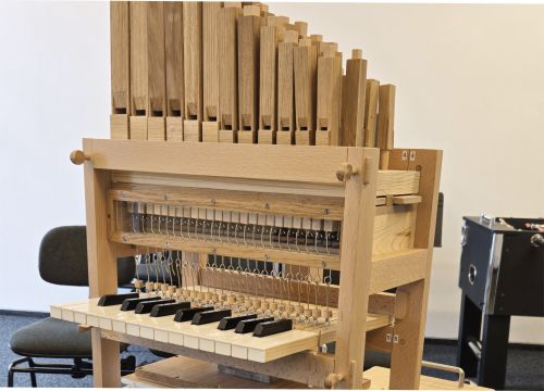 Szkolenie Budowa i rodzaje organów